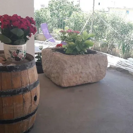 Tresnja דירה פודסטראנה